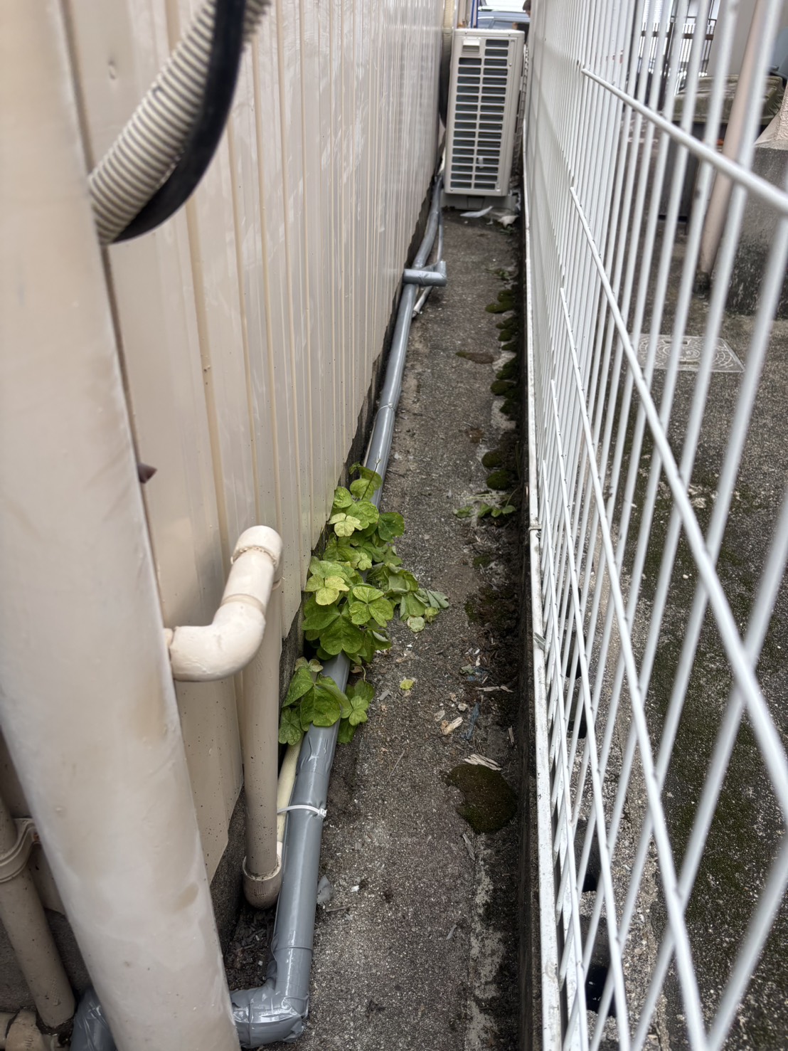 建物外の通路に露出で敷設した新しい給水管